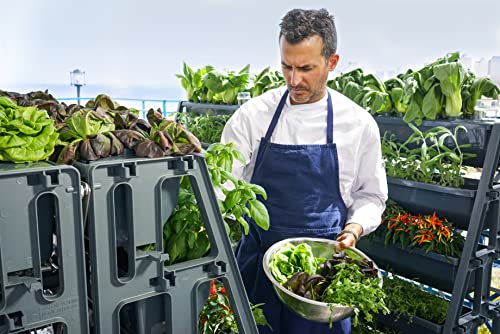 Mind Reader Vertical 4 Tier Garden Planter, Raised Stacking Garden, Space Saving Gardening Solution, Terracotta #TOP5