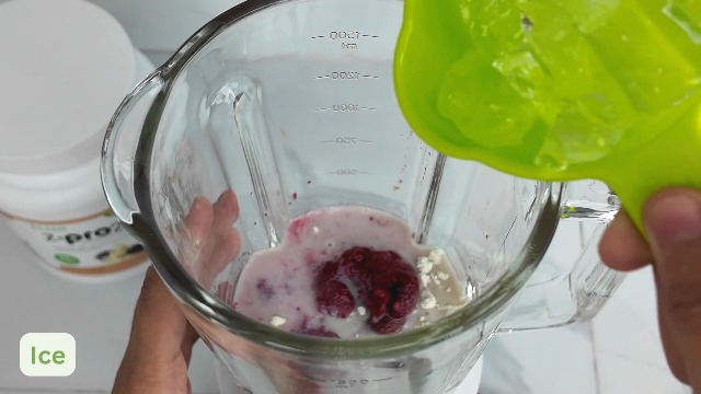 Amazon.com: R-Kane Nutritionals Z-Pro Vanilla Protein Drink Mix