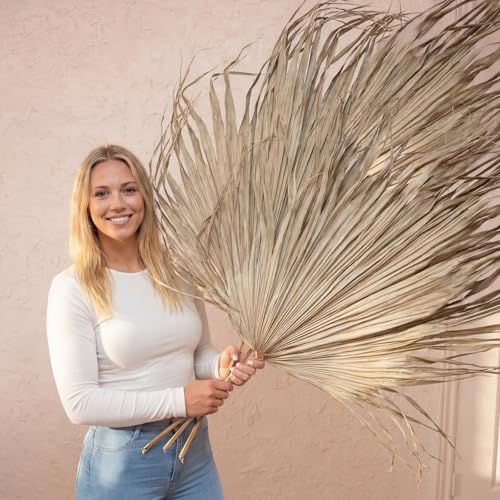 Layhit 3 Pcs 4.3ft Jumbo Natural Dried Palm Leaves Tall Boho Home Decor Tropical Dried Palm Leaves Rustic Wedding Centerpieces for Home Wedding Farmhouse Party Anniversary Boho Decor