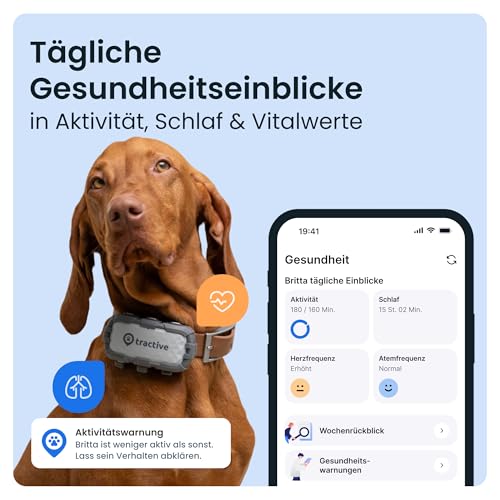 Tractive GPS Tracker Hund - XL Adventure | Bissfestes Glasfasergehäuse | Bis zu 1 Monat Akku | Marktführer | Weltweite Live-Ortung | Weglaufalarm | Aktivitätstracking & Gesundheitswarnungen
