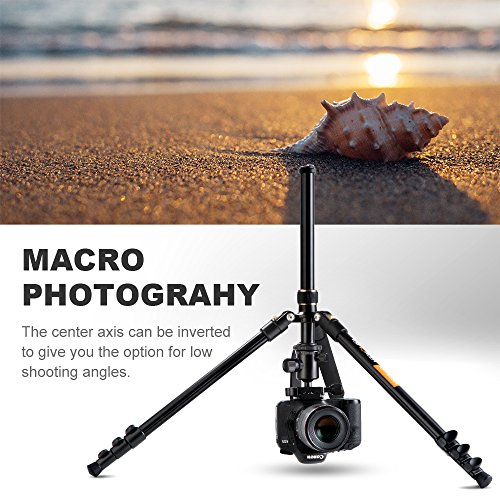 Camera Tripod, K&F Concept 62" Professional Aluminum Tripod TM2324 with Ball Head Quick Release Plate Compatible with Canon Nikon Sony Pentax Leica Fuji Lumix Olympus DSLR Camera Super Light-weight Golden Camera Tripod, K&F Concept 62" Professional Aluminum Tripod TM2324 with Ball Head Quick Release Plate Compatible with Canon Nikon Sony Pentax Leica Fuji Lumix Olympus DSLR Camera Super Light-weight Golden