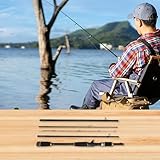 Zoom IMG-1 zoegneer ml travel spinner baitcasting Zoom IMG-1 zoegneer ml travel spinner baitcasting