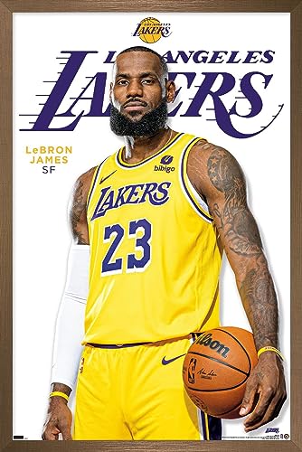 Trends International NBA Los Angeles Lakers - LeBron James Feature Series 23 Wall Poster, 22.4L x 14.7W, Bronze Framed Version