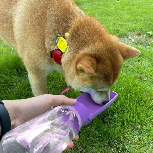 Image of WePet Foldable Portable Dog Water Bottle Puppy Water Dispenser with Drinking Feeder, 12 OZ, High-Temperature Resistant Leak Proof for Pets Outdoor Walking, Hiking, Travel, Food Grade Plastic BPA Free