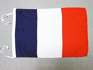 AZ FLAG France Flag 18'' x 12'' cords - French SMALL flags 30 x 45cm - Banner 18x12 in
