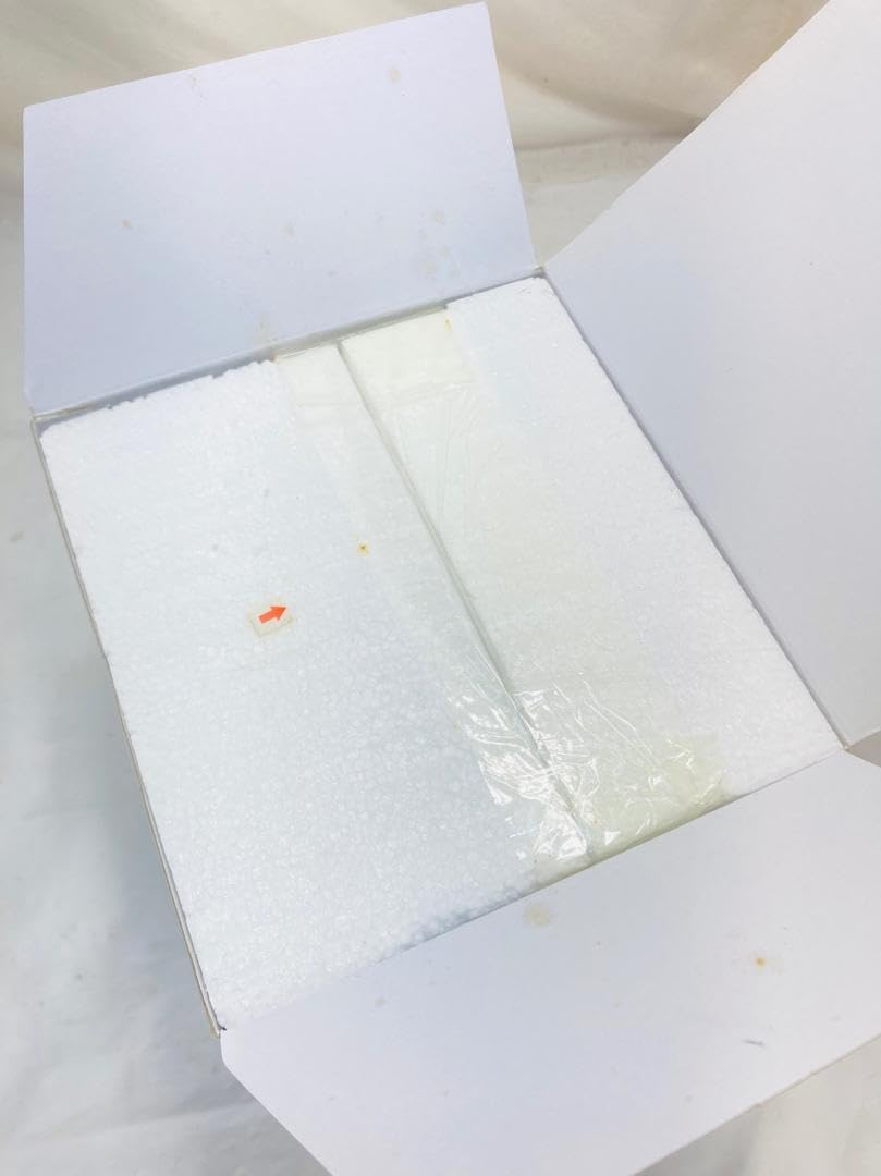 Amazon.co.jp: glam SENSES CROCKMAN クロックマン スカル 髑髏