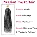 Dorsanee Ombre Gray Passion Twist Hair 18 Inch 7 Packs Water Wave Crochet Hair Long Bohemian Curly Braiding Hair for Butterfly Locs, Faux Locs, Boho Style Spring Twist Crochet Braids (TGray#)