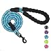 VLDCO 10 FT Strong Dog Leash Extra Heavy Duty Rock Climbing Rope Comfortable Padded Handle Highly Reflective Threads for Small Medium Large Dogs, 1/2 inch Diameter (Blue)