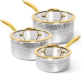 Michelangelo Triply Stainless Steel Saucepan Set, Luxury Hammered Stainless Steel Sauce Pans with Golden Handle, Premium Sauce Pot Set, Induction Compatible