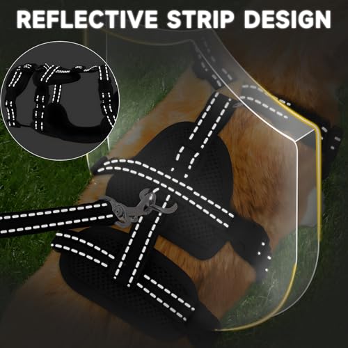 MOTIBACK Katzengeschirr mit Leine Ausbruchsicher, Metallring, Leichtes Weiches Reflektierendes Verstellbares Geschirr für Kleine Katzen zum Spazieren und Reisen. (S)