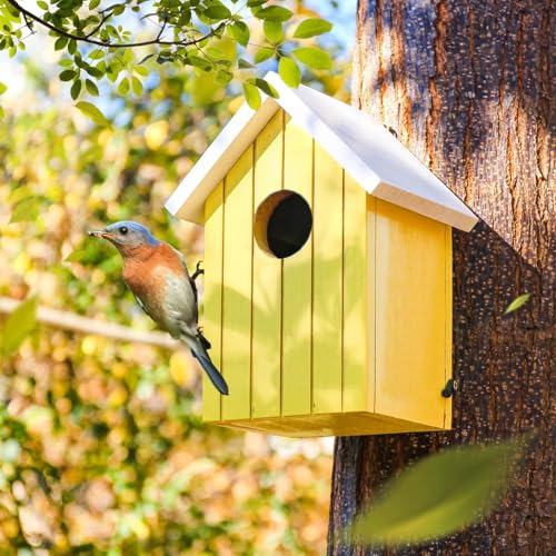 Image of BIRDSHALA Wooden Large Bird House for Sparrow, Budgies, Bulbul, Wild Birds & Pet Birds - Colorful Garden Decorative (Yellow)