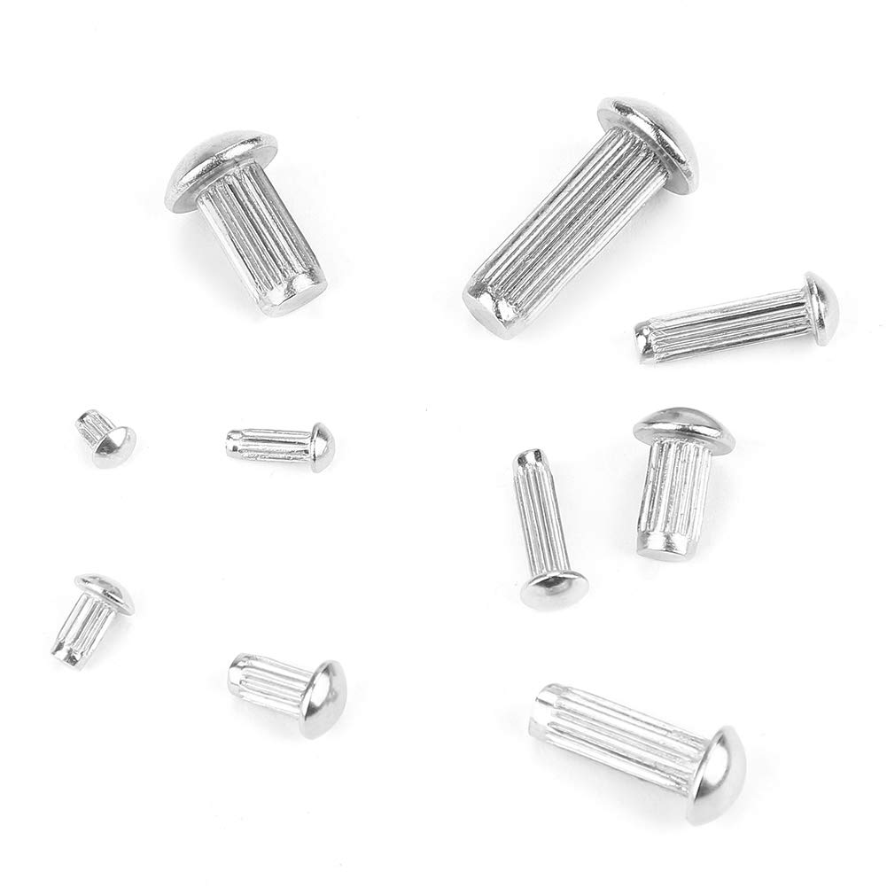 160pcs M2-M5 Rivetti solidi Kit Acciaio inossidabile Testa tonda Zigrinato zigrino Set completo di rivetti con contenitore