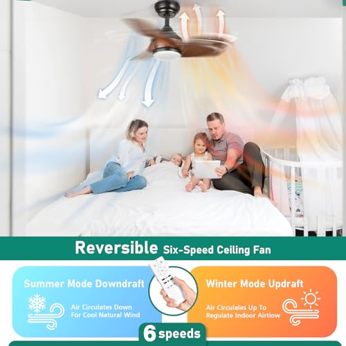 DWVO 26 Inch Ceiling Fans with Light and Remote, Small Modern Black Ceiling Fan with 3 Blades, 6 Speeds, 3 Colors Dimmable for Bedroom Patio Kitchen, DC Quiet Motor, Memory Function, Walnut