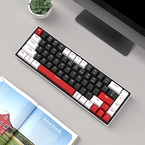 Magegee 60% Mechanical Gaming Keyboard, 68 Keys Hot-Swappable Compact Blue Led Backlit Gaming Keyboard, Sky68 Wired Ergonomic Mini Office Keyboard For Windows Pc Gamer (Red Switch, White & Black) #TOP5