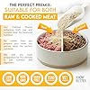 Know Better Chicken Recipe Premix for Raw Or Cooked Cat Food - Natural Supplies Meal Mix with Taurine for Cats - Indoor Cat Food Meal Completer, Feline Premix for Homemade Cat Food - 4.8 Oz #1