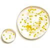 Product Photo 8