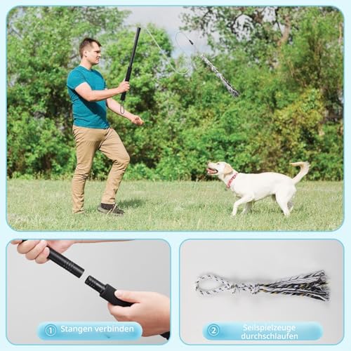 Flirt Pole Für Welpen Hunde,Interaktive Jagd und Zerrspielzeug Im Freien Hundespielzeug,Reizangel Chase Spielzeug mit Seil,Ianglebig Stick Pole für Hunde im Freien Agilität Übung & Hundetraining