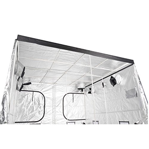 Ipower 120"X120"X78" 10’ X 10’ Mylar Hydroponic Water-Resistant Grow Tent With Observation Window And Removable Floor Tray, Tool Bag For Indoor Plant Seedling, Propagation, Blossom, Etc #TOP4
