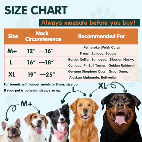 Image of Large Dog Donut Collar - Inflatable Cone Alternative for After Surgery Recovery (Blue, Large)