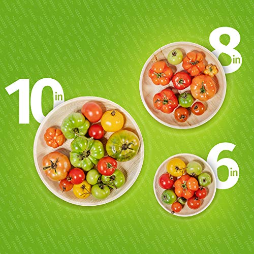 Aevia 10" Palm Leaf Plates - Like Disposable Bamboo Plates - 100% Natural Party Plates (25 Pack, Round) #TOP5