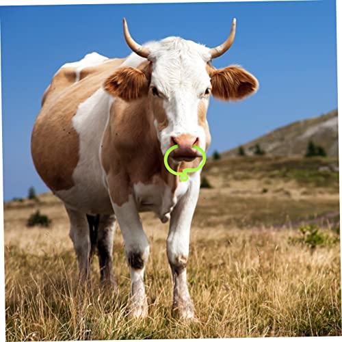 Ipetboom 10 Pçs Ferramenta De Criação De Gado Anel Ferramentas Clipes De Espinho Bovino Veterinário