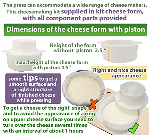 Cheese Press For Cheese Making 12 In - Cheesemaking Kit With Wooden Cheese Press And 1 Cheese Mold 1.2 L - Сheese Press For Home Cheese Making Metal Guides Pressure Up To 50 Pounds #TOP7