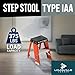 Louisville Ladder 2-Foot Fiberglass Step Stool Industrial, 375-Pound Load Capacity, Type IAA, FY8002