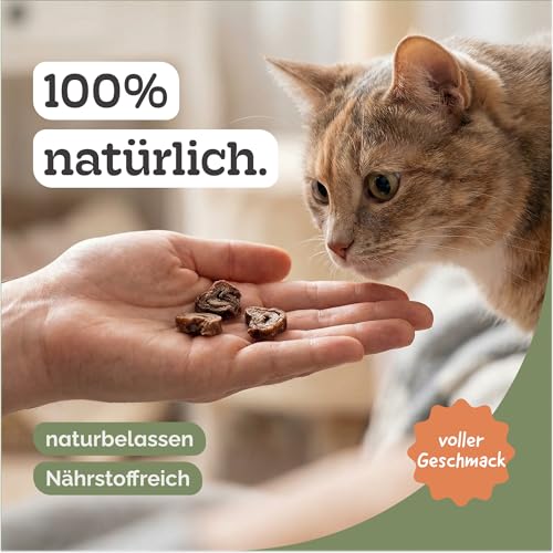 Hühnerherzen Gefriergetrocknet für Hund & Katze, 100% Naturbelassen, Premium Snack & Barf Ergänzung, Ohne Konservierungsstoffe (50g)