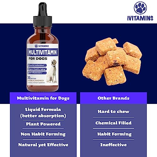 Multivitamin for Dogs | for Joint Support, Gut & Immune Health, Skin & Heart Health | Dog Vitamins and Supplements | Dog Vitamins Multivitamin | Puppy Vitamins | Dog Supplements & Vitamins - Thumbnail 4