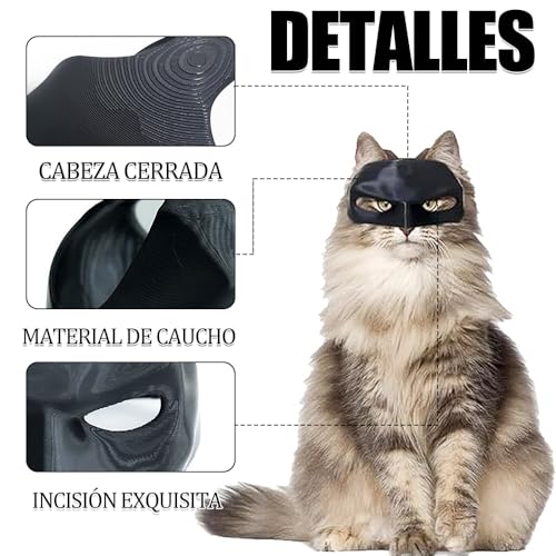 Alimento Para Gato, Video On Demand Imagen adicional