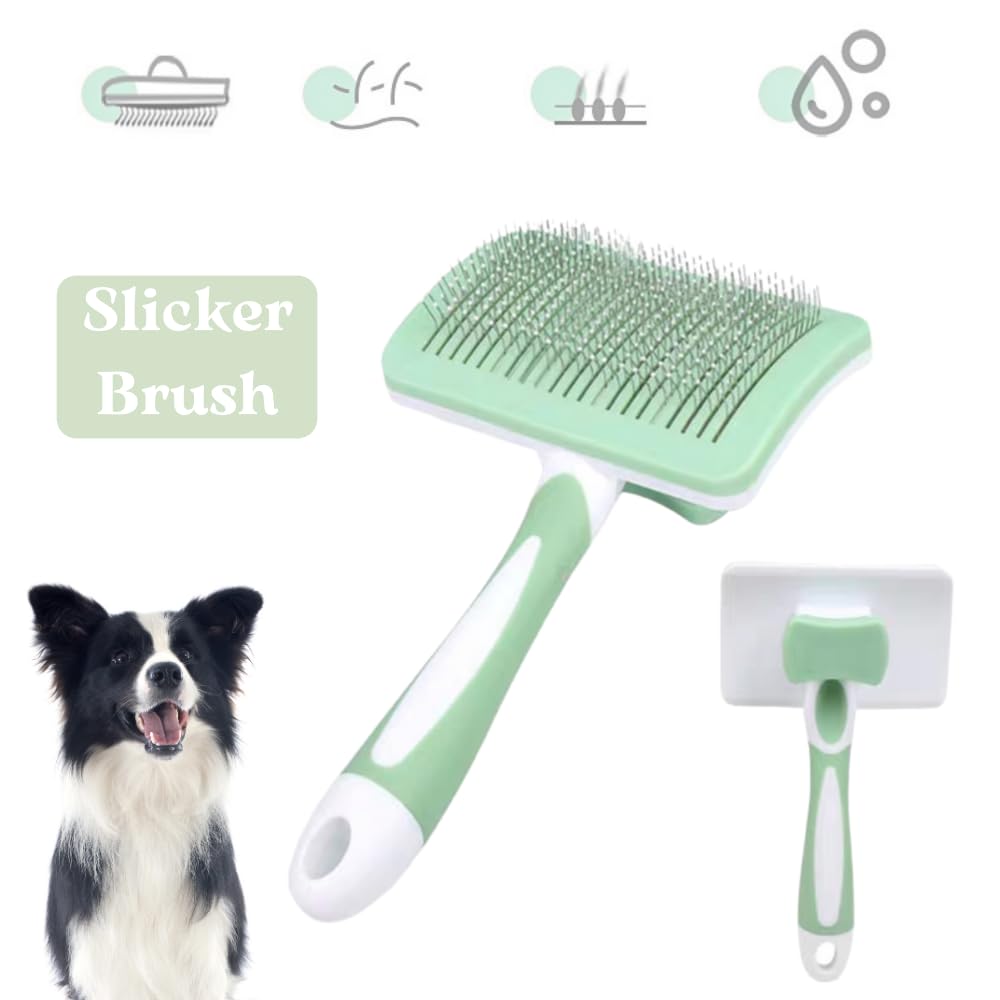 PupLuxe Welpen-Starter-Set – Grünes 22-teiliges Paket, ideal für Hundetraining, perfekt für neue und erfahrene Besitzer