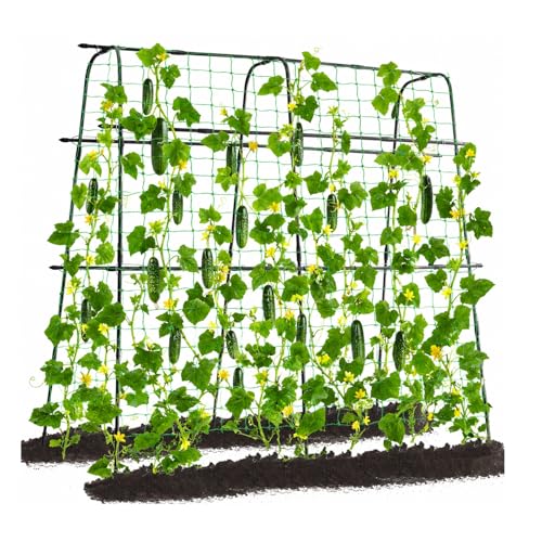 yotoworth Garden Trellis for Climbing Plants 160×160cm Cucumber Trellis for Raised Bed Outdoor Metal Vegetables Trellis Support for Tomatoes Peas Vegetables Vines