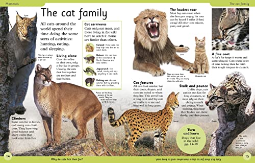 First Animal Encyclopedia: A First Reference Guide to the Animals of the World 3 51 LqPg6+SL