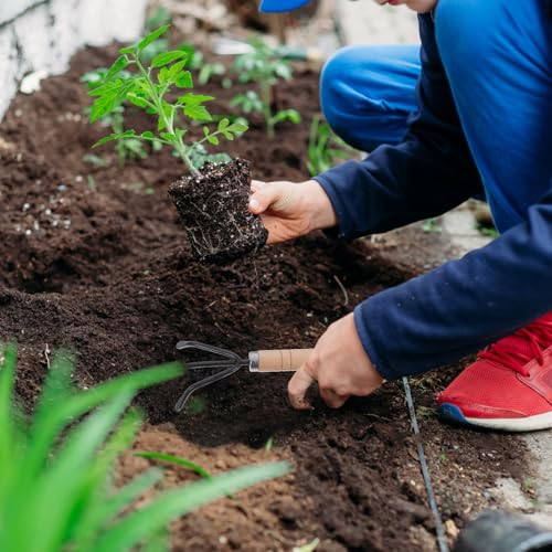 Set de herramientas de jardinería 3 piezas con pala y rastrillo miniatura 4