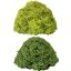 Fruit Green 3.5oz+light Green 3.5oz