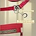 LUCKIEST MAP 2PCS Adjustable Horse Halter&Horse Training Lunge LINE Double-Buckle Anti-Entanglement Soft BUT Firm Used for Equestrian Training and Training