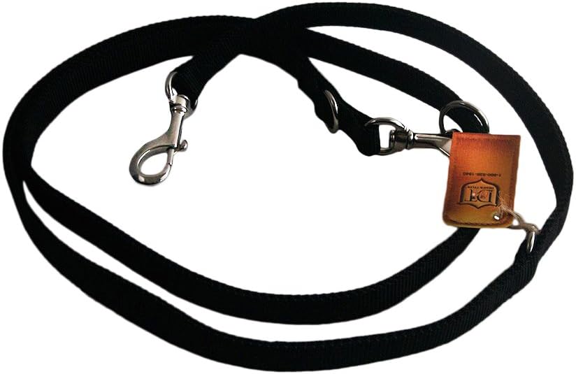 Dean & Tyler Nylon Night Steel Dog Leash, 6-Feet, Black