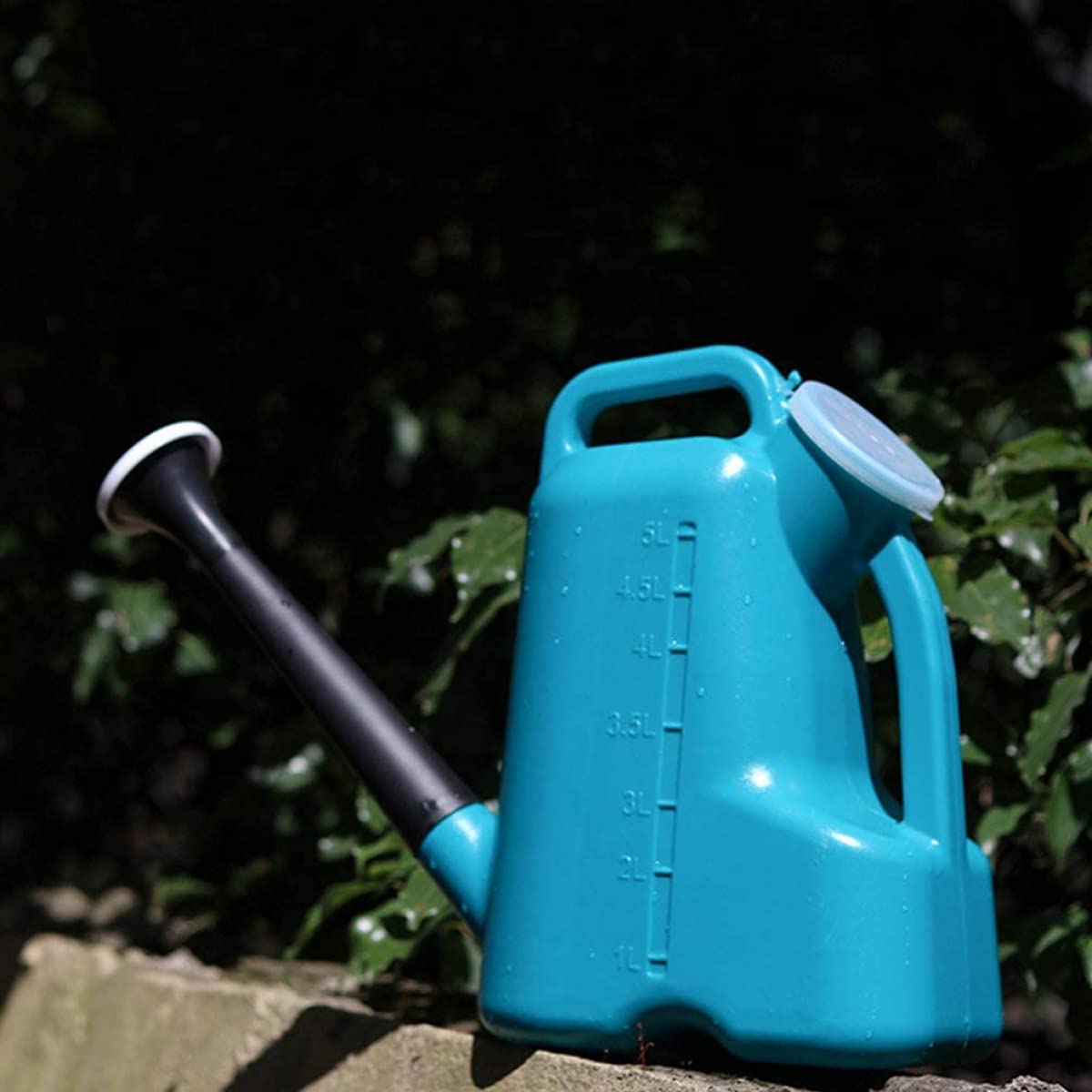 Arrosoir de jardin, pulvérisateur de fleurs, outils de jardin pour plantes d'intérieur et d'intérieur, fleurs de jardin, bleu, 5 litres