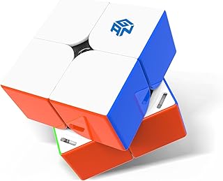 251 M Pro, 2x2 Magnetic Speed Cube Stickerless Gans 251 Mini Cube 63 Magnets Puzzle Toy for Beginner(Frosted Surface Primary Internal)