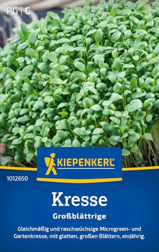 Kiepenkerl Kressesamen Großblättrige 1012650 - gleichmäßig - raschwüchsig - glatte & große Blätter - einjährig - Saatgut, Samen Gemüse, Gemüsepflanzen