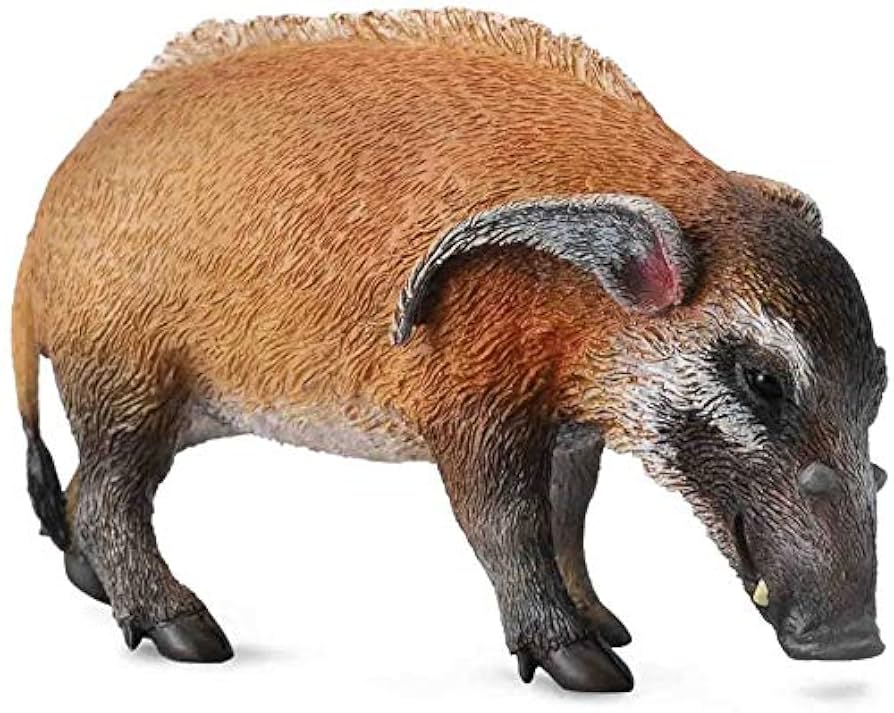 Collcta アカカワイノシシ tf8su2k Amazon.co.jp: Collcta アカカワイノシシ よこ8.5cm×たて5cm