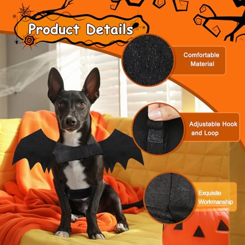 Binlava Halloween Kostüm Hund Fledermaus Flügel, Hundekostüm mit Kürbisglocke, Einstellbar Haustier Fledermaus Kostüm, Niedlich Haustier-Cosplay-Dekorationen für Kleiner Hunde Halloween-Party(M)