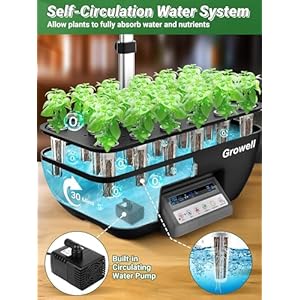 Hydroponicsgrowingsystemkitgrowell17podsherbgardenwith10228wfullspectrumgrowlights2fansindoorgardenwithwaterpump10lwatertankautotimerheightadjustableblackgrey  Urban Country Home Decor Hydroponics growing system kit growell 17 pods herb garden with 102 28w full spectrum grow lights 2 fans indoor garden with water pump 10l water tank auto timer height adjustable black grey  urban country home decor