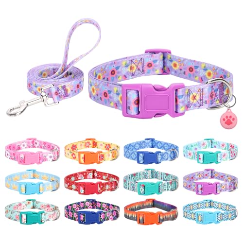 SLZZ Collare per cani con guinzaglio Custodia porta airtag - Collari per cani per maschio femmina ragazzo ragazza cucciolo x-piccolo piccolo medio grande cani - Margherita viola -S