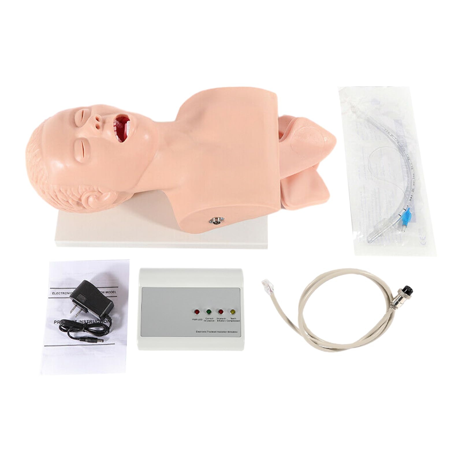 220V Intubation Manikin Study Teaching Model, Airway Management Trainer Tracheal Intubation Oral Nasal Training PVC Simulator