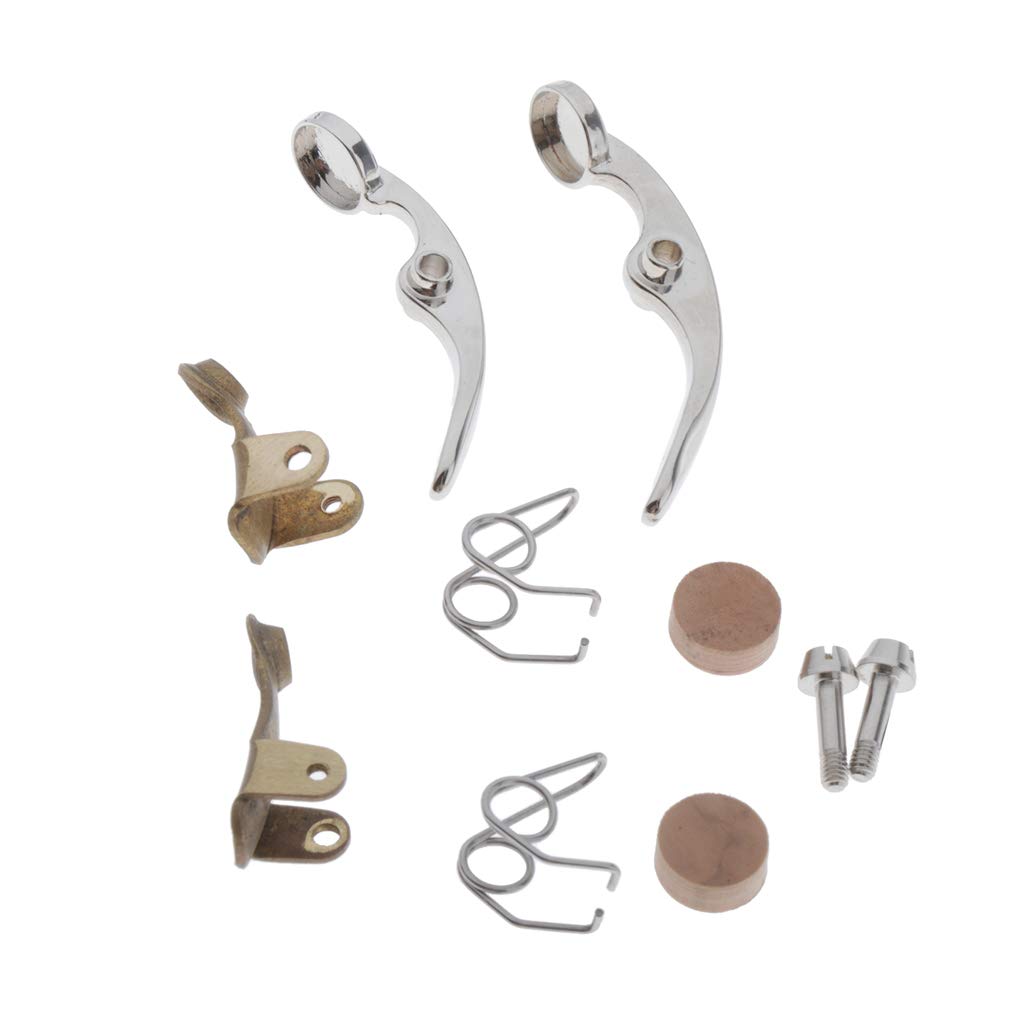 2 Set Tromba Acqua Chiave Valvola Molle Viti Parti Strumento in Ottone