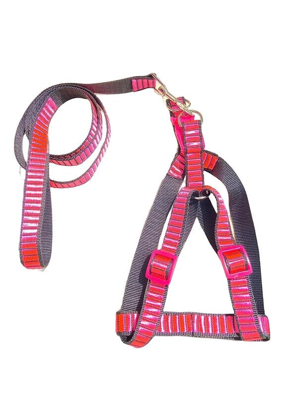 See full amazon price history chart for BohoBark Soft Nylon Padded Dog Chest Harness with Leash Comfortable Feel & Easy Control, Medium Size Dog Harness Leash Set Pink BohoBark Soft Nylon Padded Dog Chest Harness with Leash Comfortable Feel & Easy Control, Medium Size Dog Harness Leash Set Pink (B0CF9GVY9F) Amazon Price History, Amazon Price Tracker