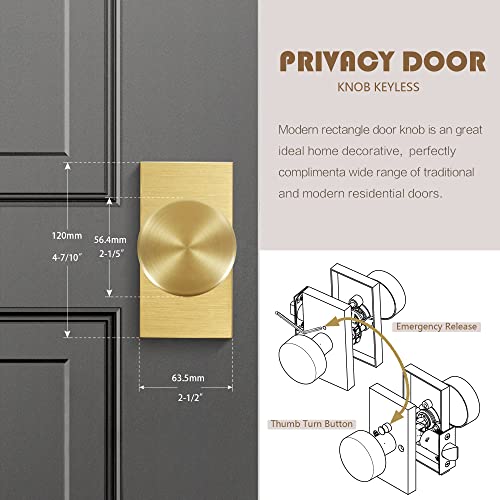 Felibat Privacy Gold Door Knob Interior,Satin Brass Door Knobs With Lock,Modern Rectangle Door Handles #TOP2