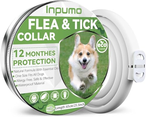 Collare Antiparassitario Per Cani, Naturali antipulci per cani, Oli Essenziali Naturali Al 100%, Efficacia 12 Mesi con Ingredienti Antipulci per Cani (2 Pack)