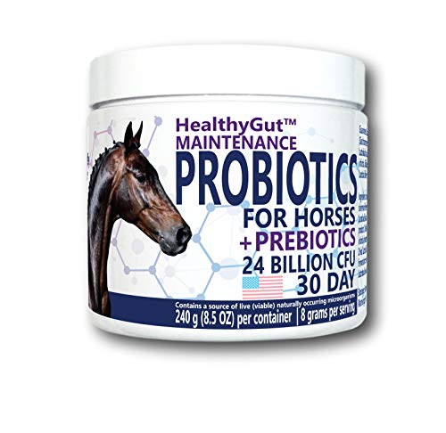 Equa-Holistics-LLC-Probiotics-for-Horses